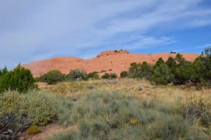 Whale Rock at Island in the Sky, Canyonlands National Park, Utah