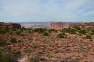 Holeman Spring Canyon Overlook at Island in the Sky, Canyonlands National Park, Utah