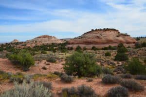 Aztec Butte at Island in the Sky, Canyonlands National Park, Utah