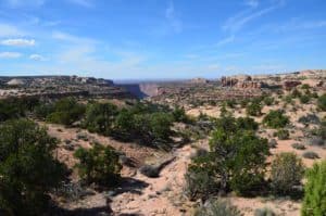 Neck Spring Trail area at the Shafer Trail Viewpoint at Canyonlands National Park in Utah