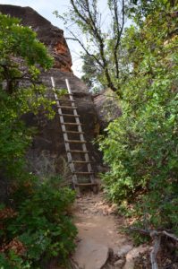 Ladder on the Cave Spring Trail at Canyonlands National Park in Utah