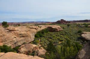 View from the top on the Cave Spring Trail at Canyonlands National Park in Utah