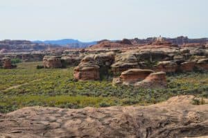 View from the top on the Cave Spring Trail at Canyonlands National Park in Utah