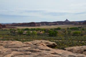 View from the top on the Cave Spring Trail at Canyonlands National Park in Utah