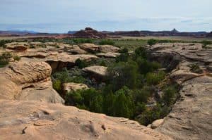 Looking down on the Cave Spring Trail at Canyonlands National Park in Utah