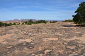 Potholes on the Pothole Point Trail at Canyonlands National Park in Utah