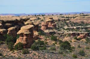 The view on the Pothole Point Trail at Canyonlands National Park in Utah