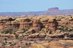 The view on the Pothole Point Trail at Canyonlands National Park in Utah
