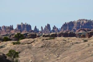 The Needles on the Pothole Point Trail at Canyonlands National Park in Utah
