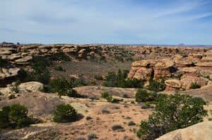 The view on the Pothole Point Trail at Canyonlands National Park in Utah