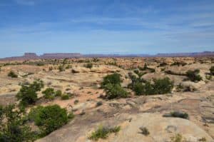 Looking towards Island in the Sky on the Pothole Point Trail at Canyonlands National Park in Utah