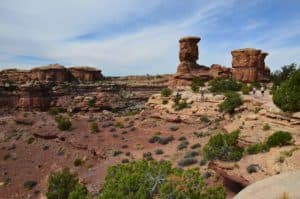 Big Spring Canyon Overlook at the Needles district in Canyonlands National Park, Utah