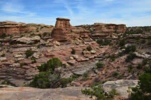 Big Spring Canyon Overlook at the Needles district in Canyonlands National Park, Utah