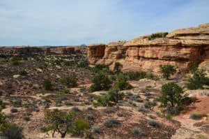 Beginning of the trail on the Slickrock Foot Trail at Canyonlands National Park in Utah