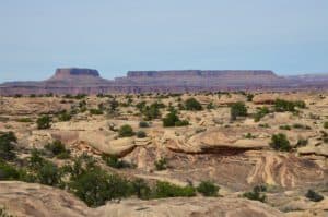 Looking towards Island in the Sky on the Slickrock Foot Trail at Canyonlands National Park in Utah
