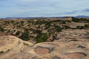 Slickrock Foot Trail at Canyonlands National Park in Utah