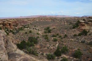 Looking towards the La Sal Mountains on the Slickrock Foot Trail at Canyonlands National Park in Utah