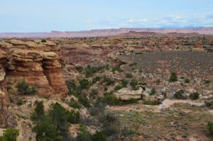 Looking towards the La Sal Mountains on the Slickrock Foot Trail at Canyonlands National Park in Utah