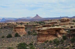 Scenery along the trail on the Slickrock Foot Trail at Canyonlands National Park in Utah