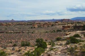 Scenery along the trail on the Slickrock Foot Trail at Canyonlands National Park in Utah