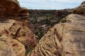 Little Spring Canyon on the Slickrock Foot Trail at Canyonlands National Park in Utah