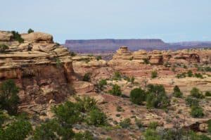 Scenery along the trail on the Slickrock Foot Trail at Canyonlands National Park in Utah