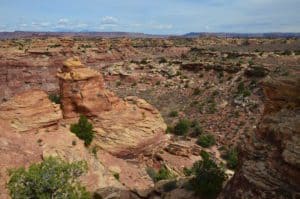 Little Spring Canyon on the Slickrock Foot Trail at Canyonlands National Park in Utah