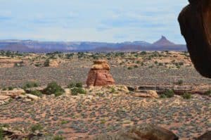 Scenery along the trail on the Slickrock Foot Trail at Canyonlands National Park in Utah