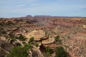 Looking towards Island in the Sky on the Slickrock Foot Trail at Canyonlands National Park in Utah