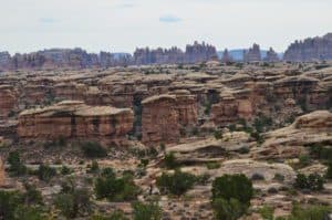 The Needles on the Slickrock Foot Trail at Canyonlands National Park in Utah