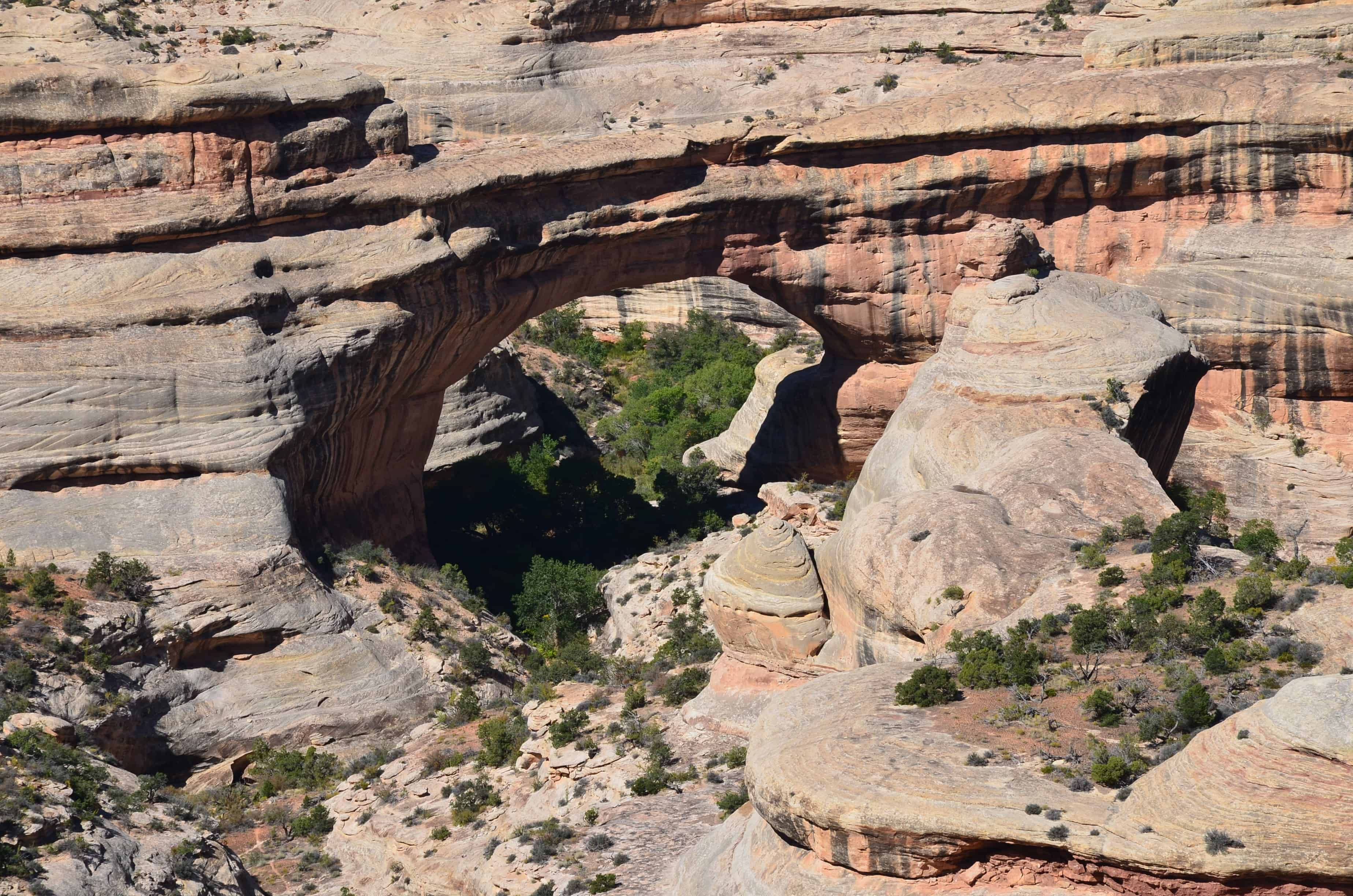 Sipapu Bridge at Natural Bridges National Monument in Utah