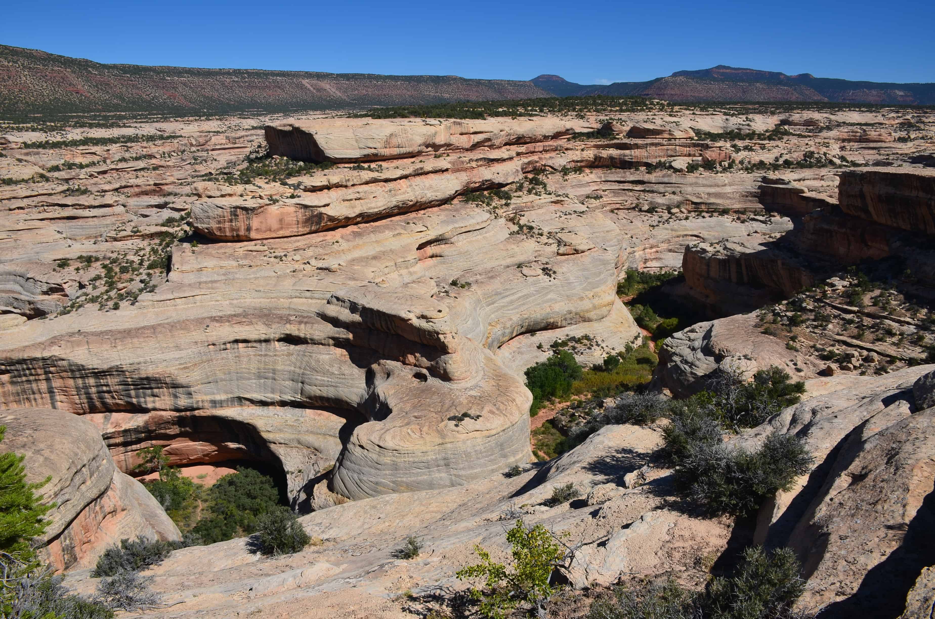 Horse Collar Ruin Overlook Trail at Natural Bridges National Monument in Utah