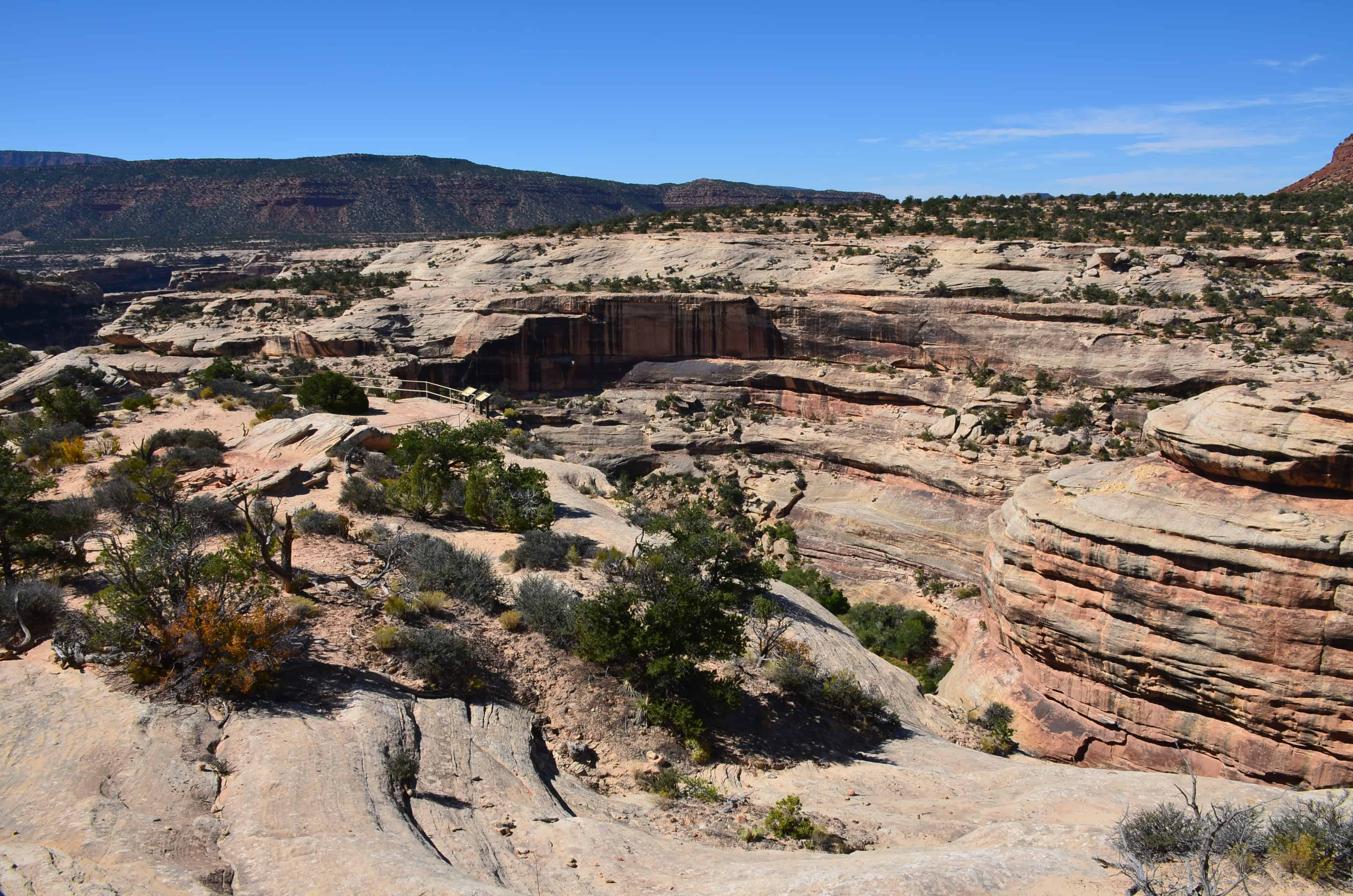 Horse Collar Ruin Overlook Trail at Natural Bridges National Monument in Utah