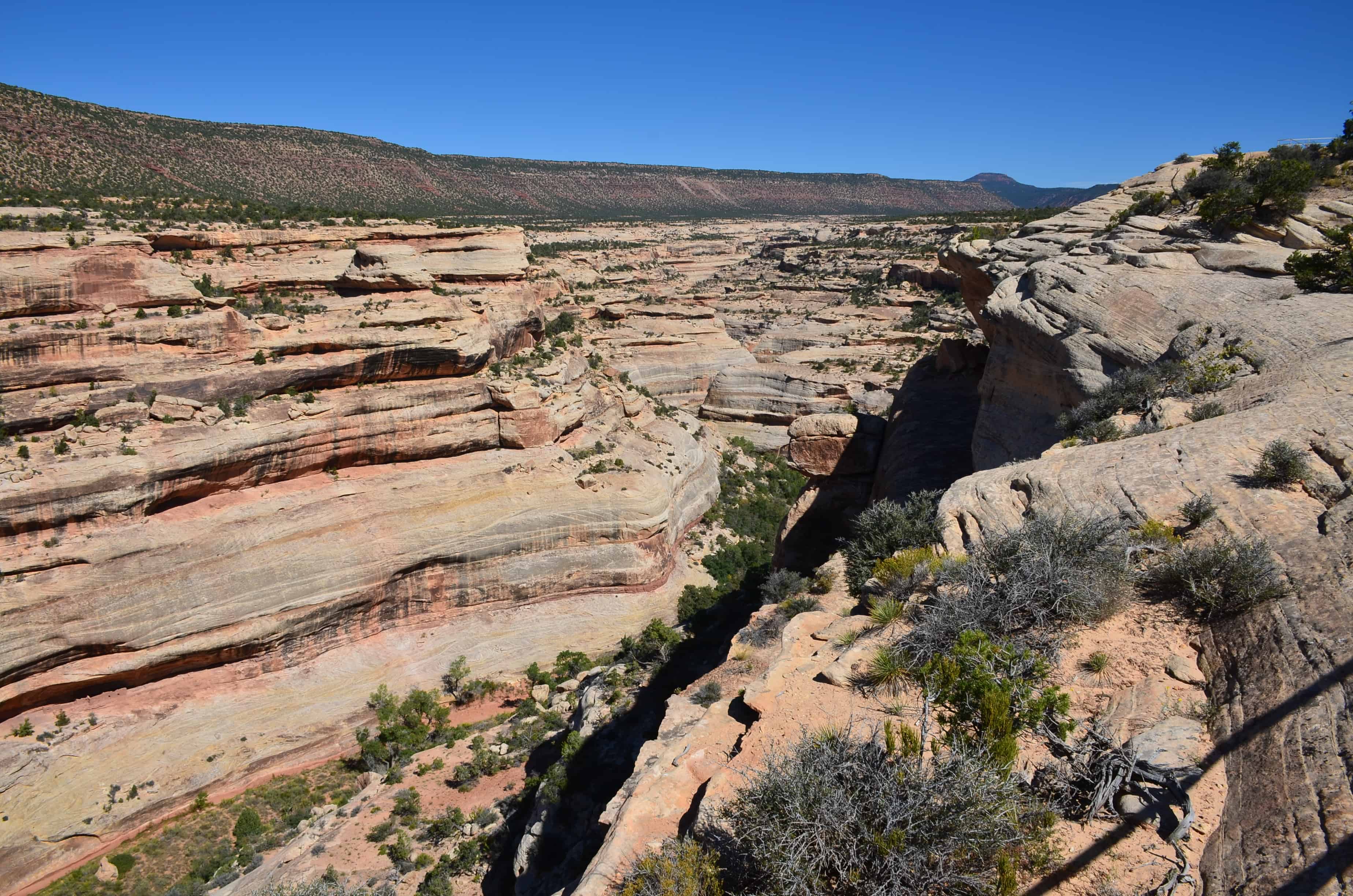 Horse Collar Ruin Overlook Trail at Natural Bridges National Monument in Utah