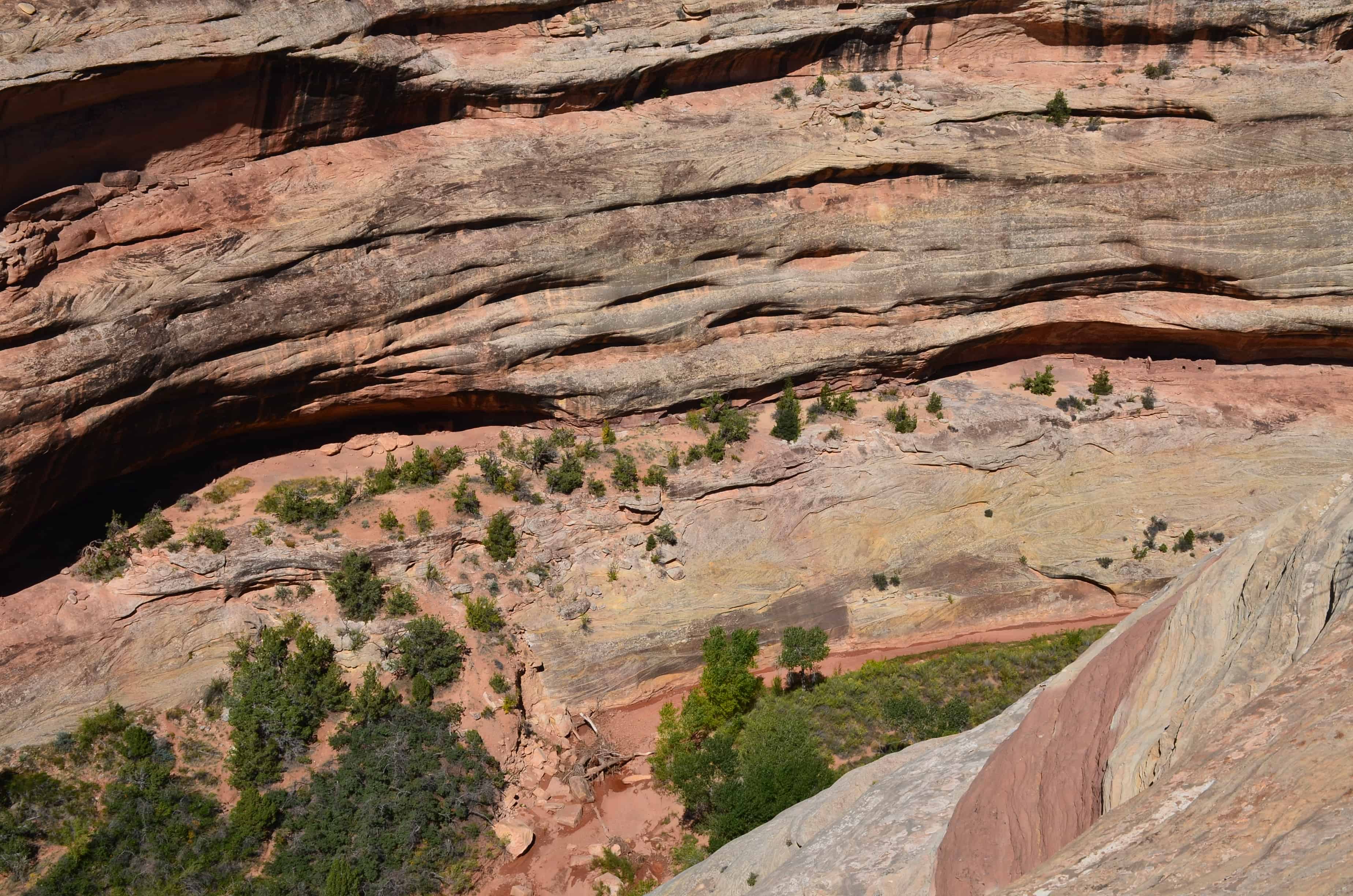 Horsecollar Ruin at Natural Bridges National Monument in Utah