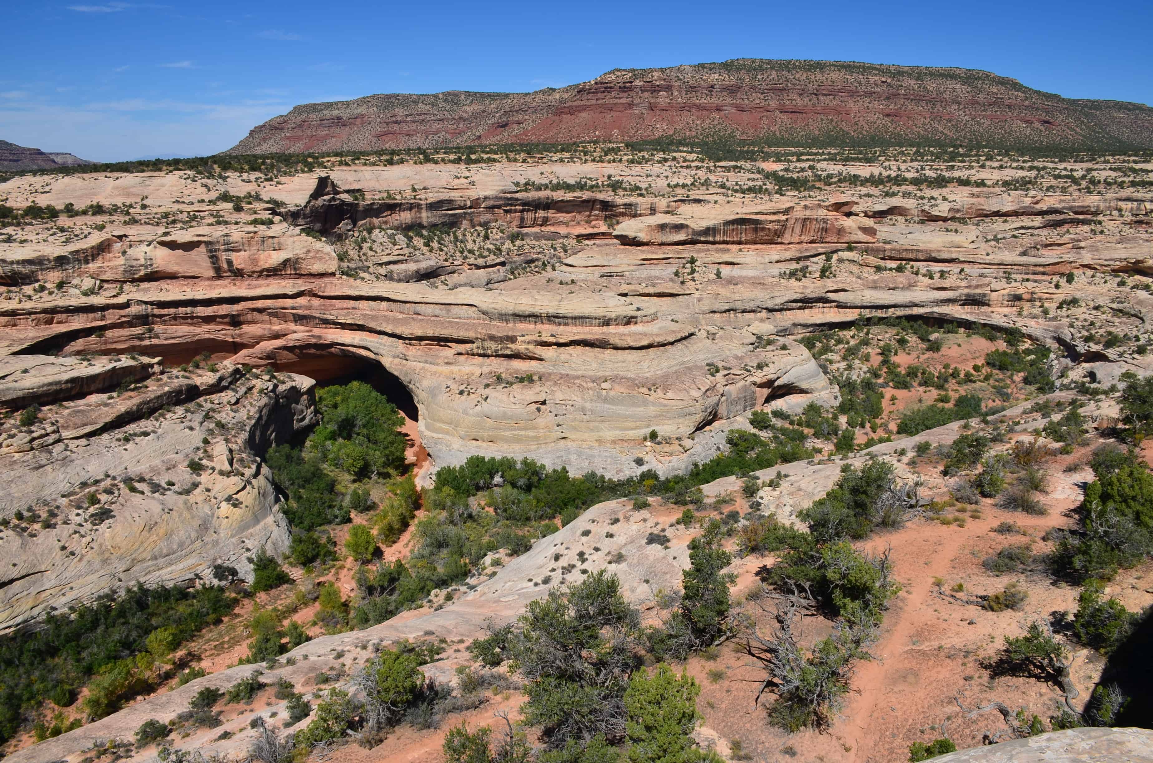 Kachina Bridge at Natural Bridges National Monument in Utah