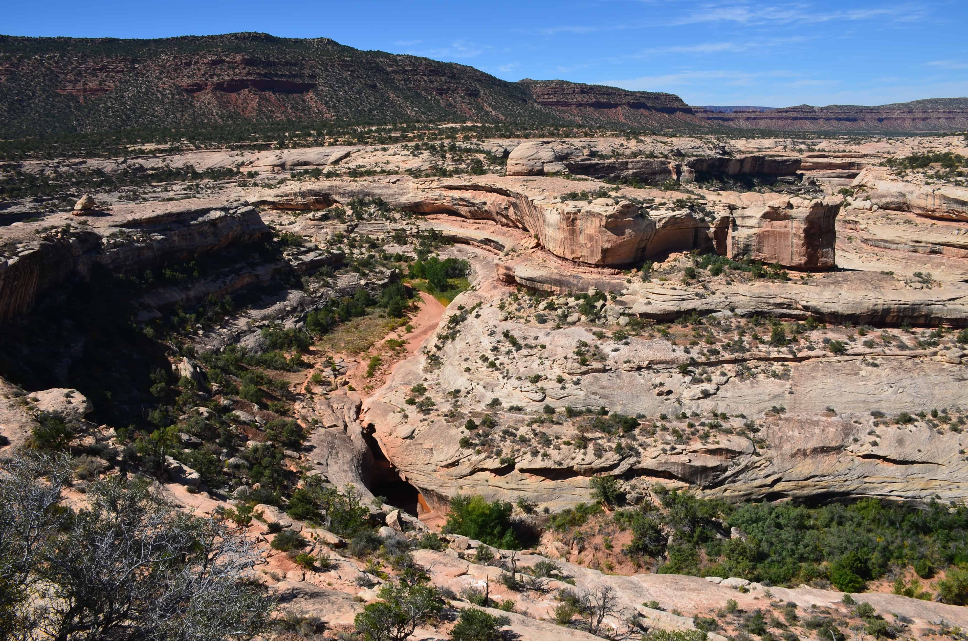 View from the Kachina Bridge Viewpoint at Natural Bridges National Monument in Utah