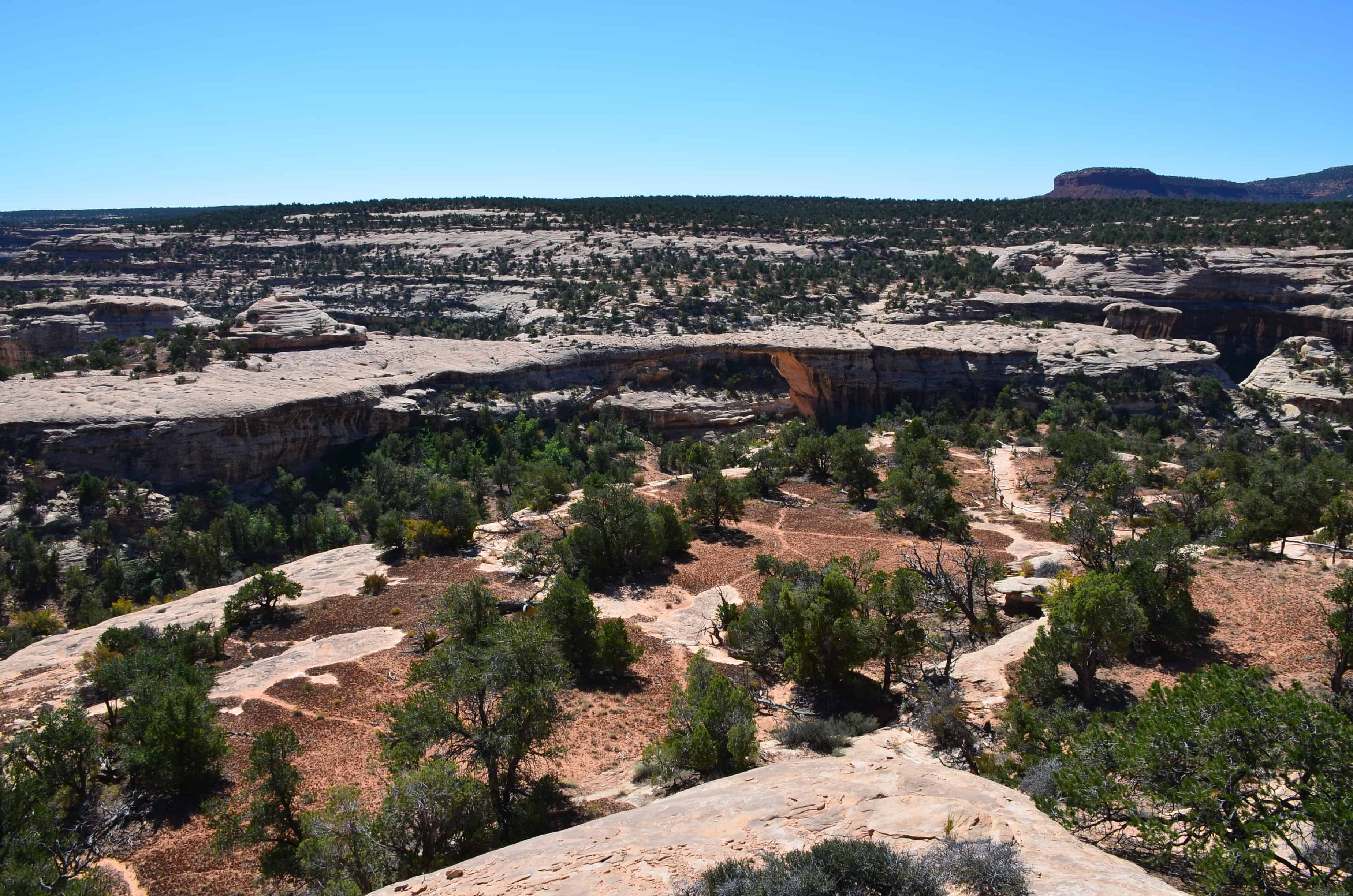 Owachomo Bridge at Natural Bridges National Monument in Utah