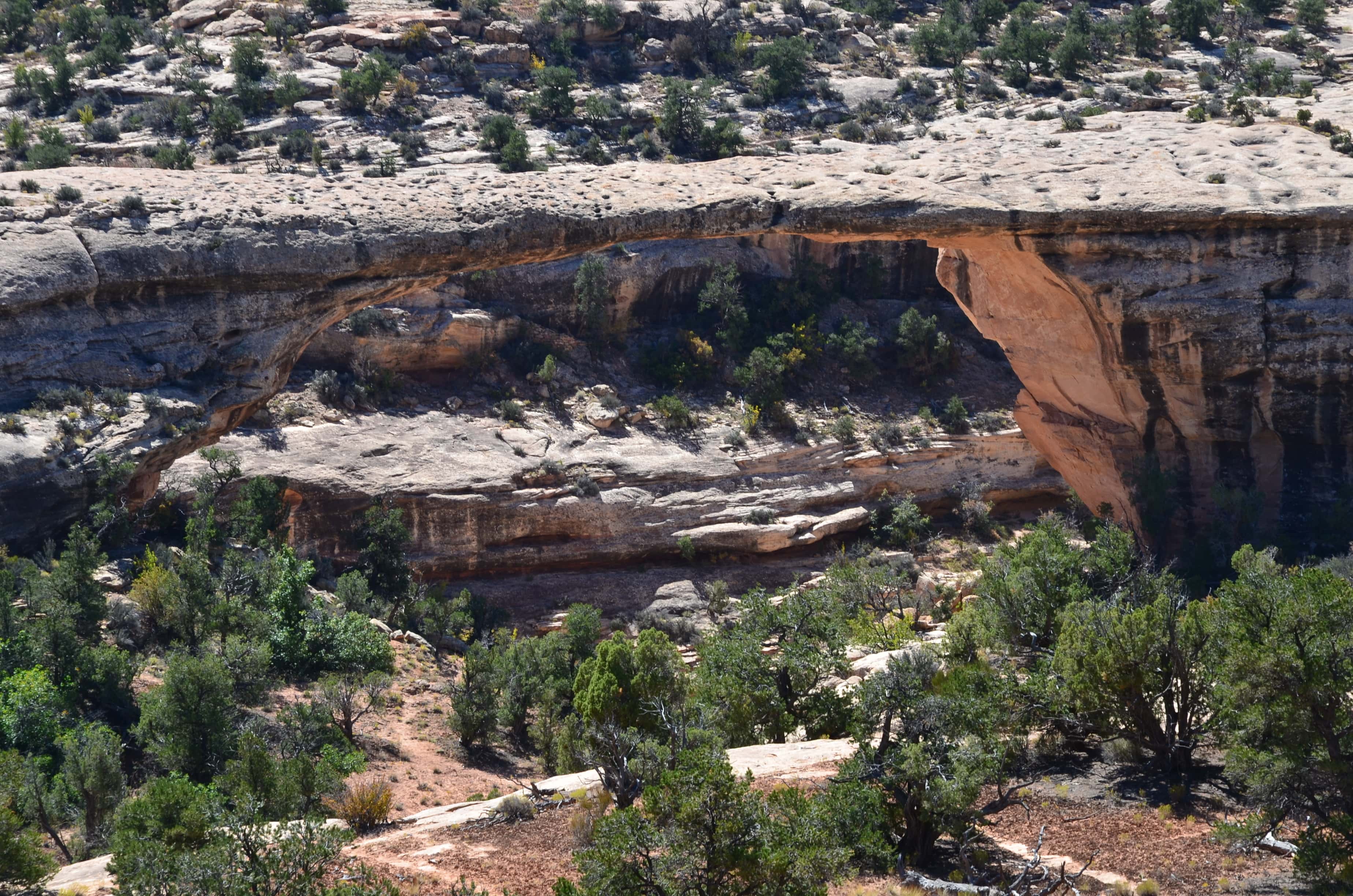 Owachomo Bridge at Natural Bridges National Monument in Utah