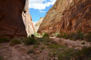 The beginning of the trail on the Capitol Gorge Trail at Capitol Reef National Park in Utah