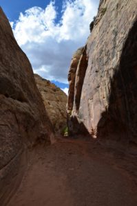 The narrow part of the trail on the Capitol Gorge Trail at Capitol Reef National Park in Utah