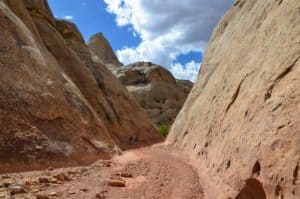 As the trail starts to open up again on the Capitol Gorge Trail at Capitol Reef National Park in Utah