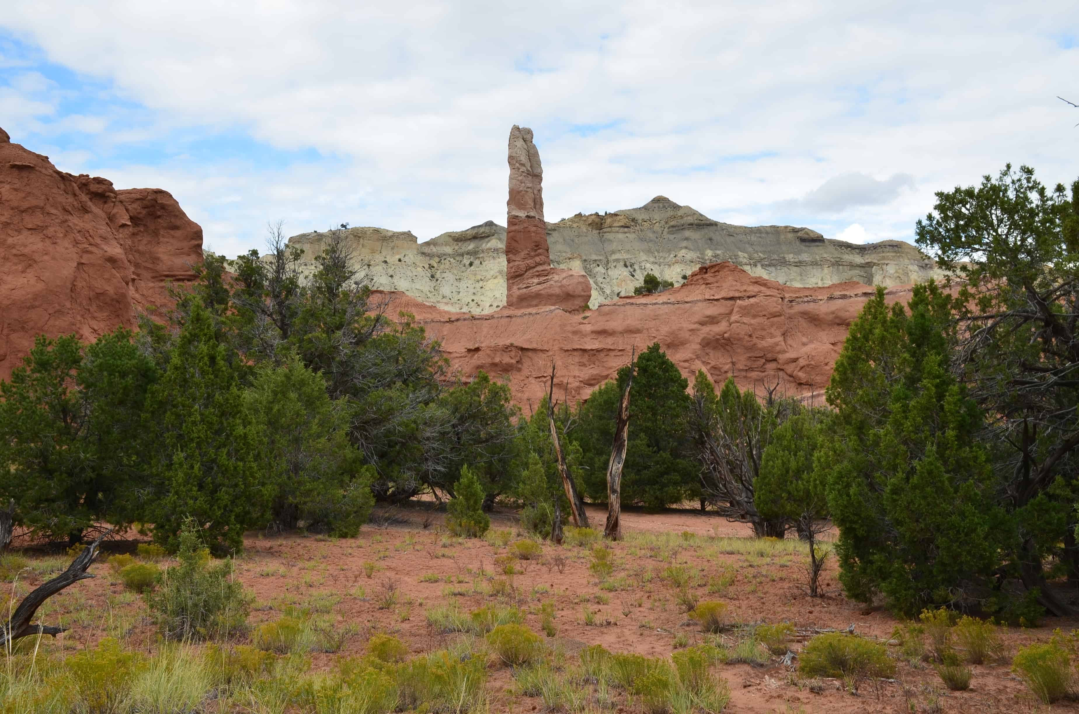 Kodachrome Nature Trail at Kodachrome Basin State Park in Utah