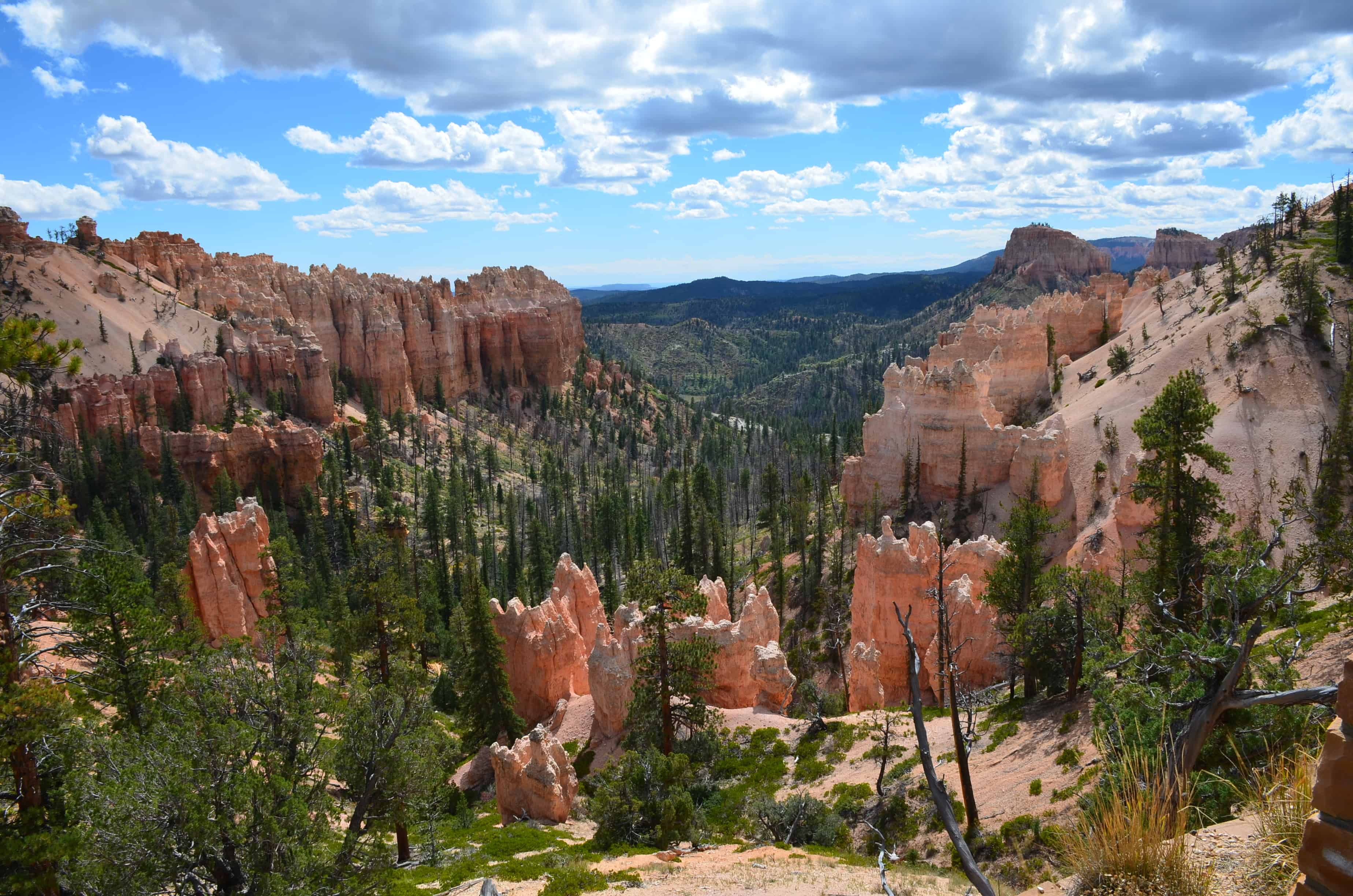 Swamp Canyon at Bryce Canyon National Park in Utah