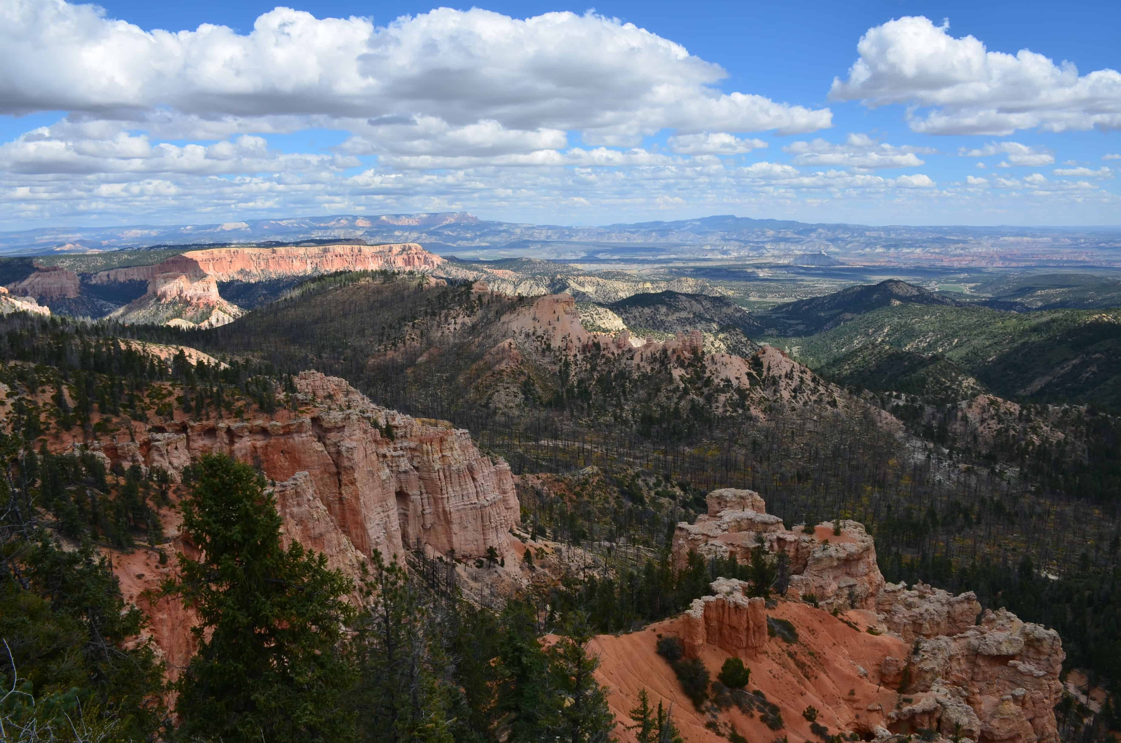 View from Piracy Point