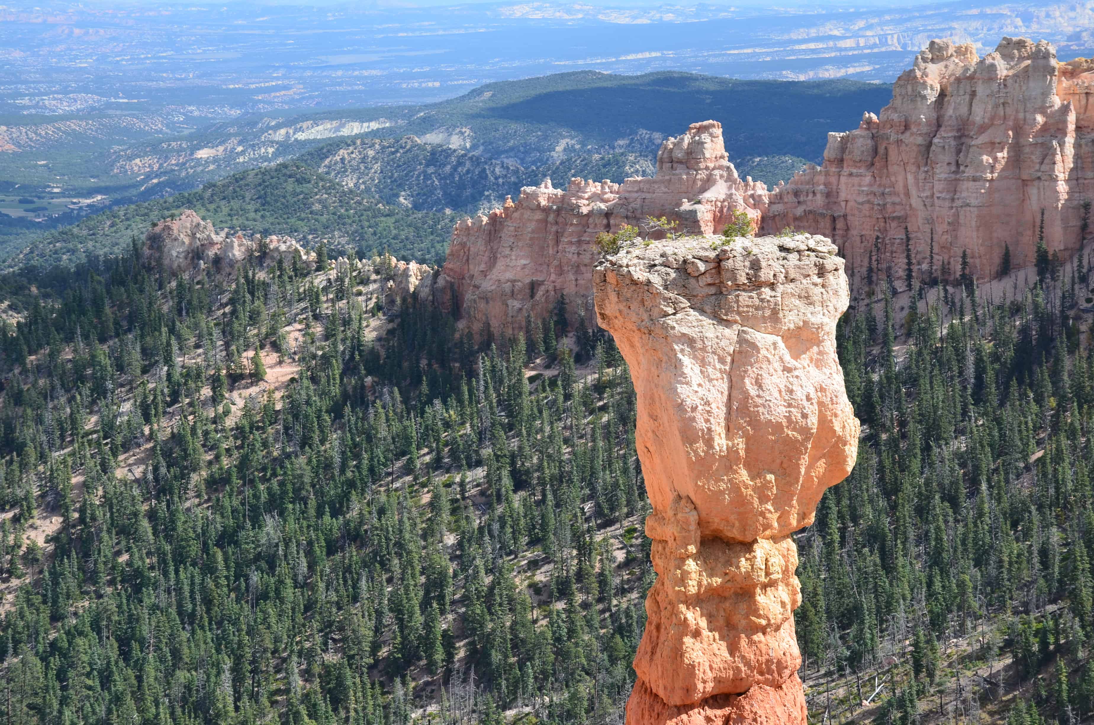 The Hunter at Agua Canyon at Bryce Canyon National Park in Utah