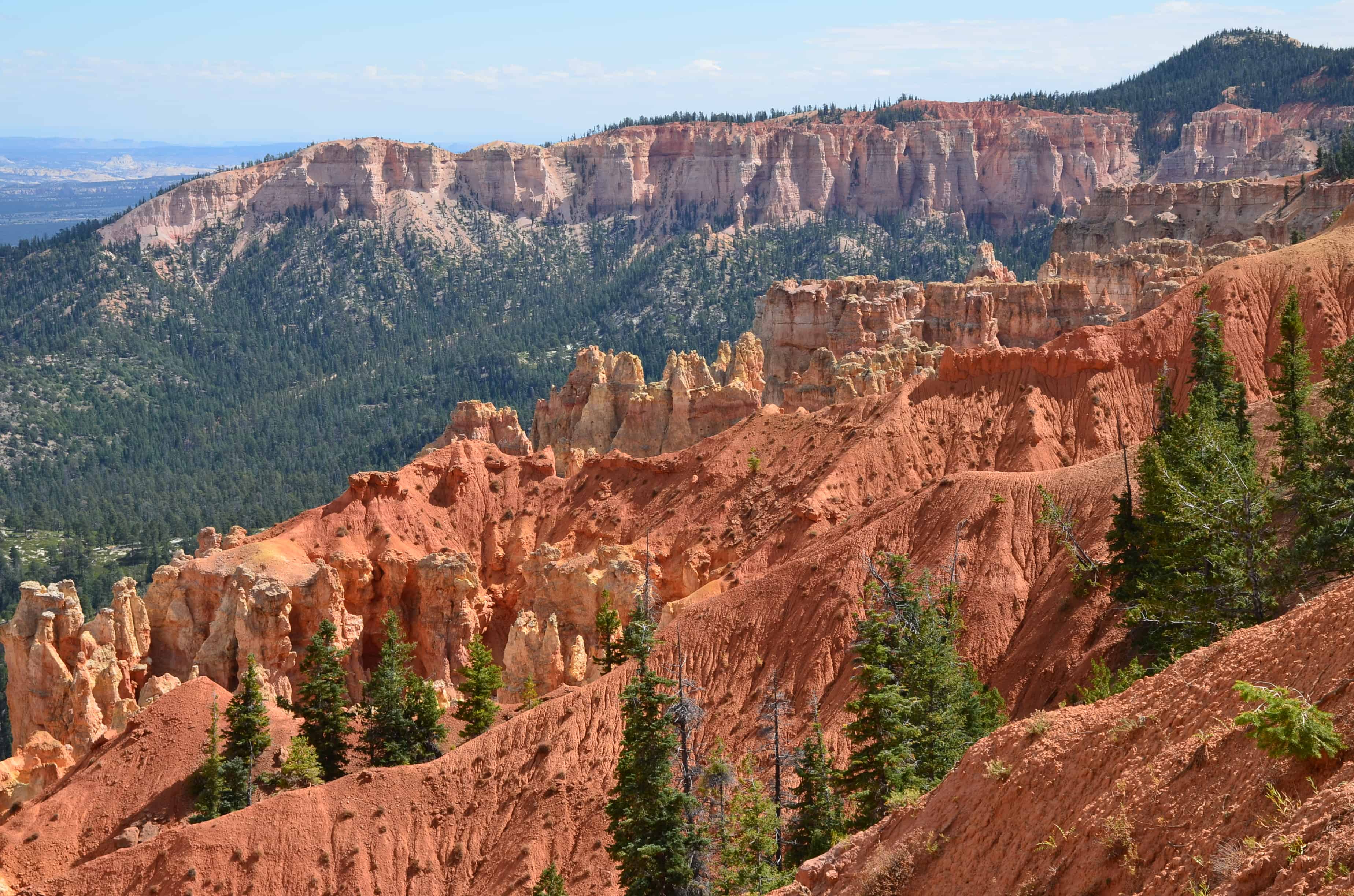 View of Ponderosa Canyon