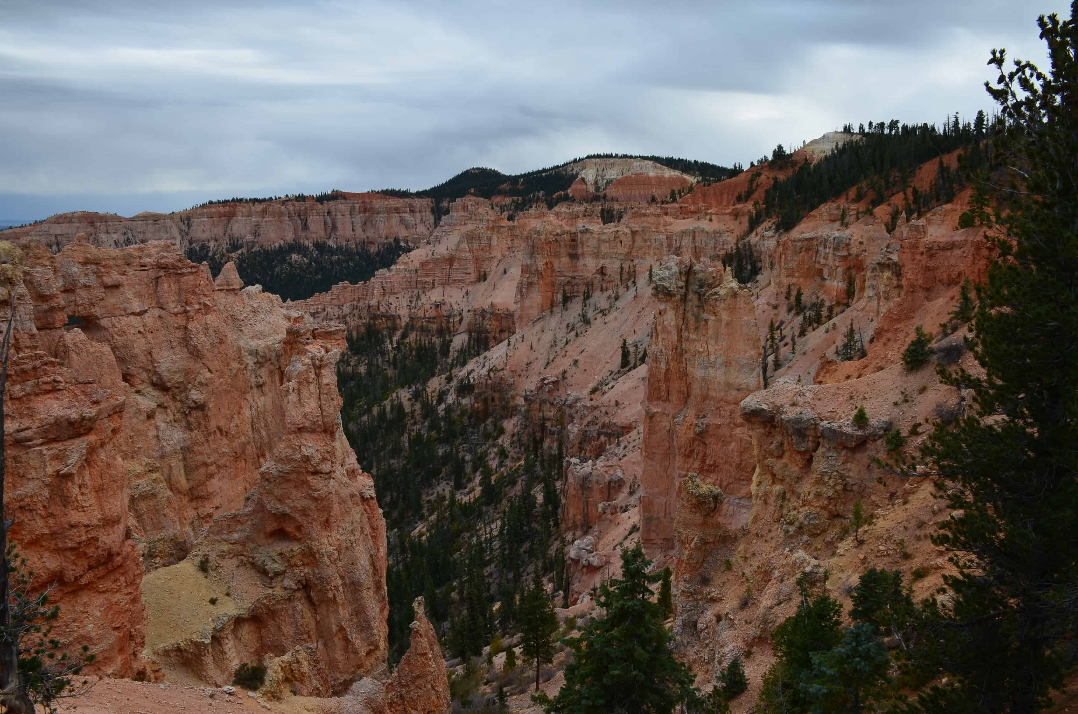 Black Birch Canyon at Bryce Canyon National Park in Utah