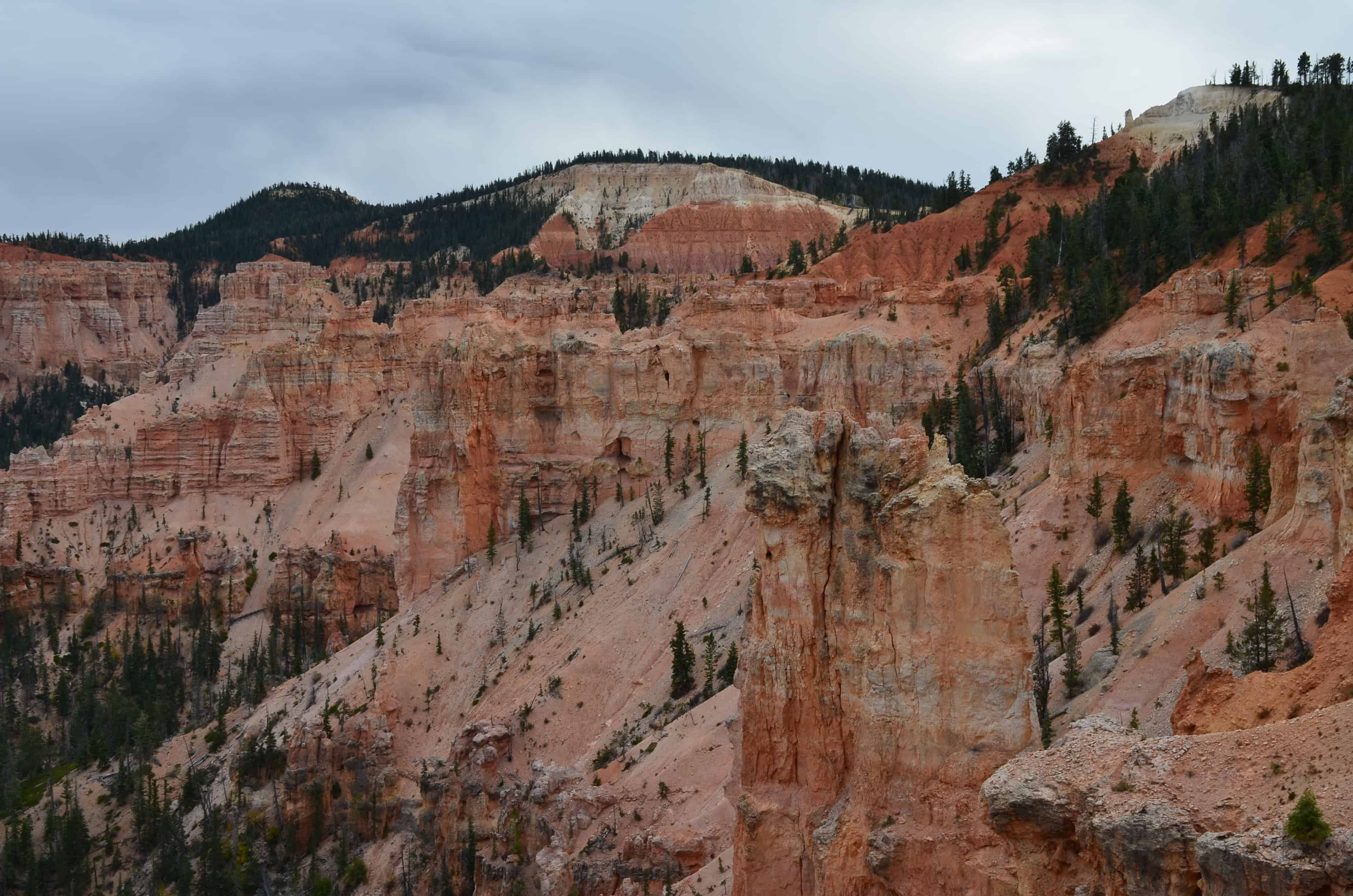 Black Birch Canyon at Bryce Canyon National Park in Utah