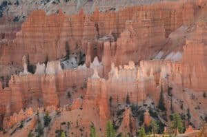 Glowing hoodoos on the Queens Garden Trail at Bryce Canyon National Park in Utah